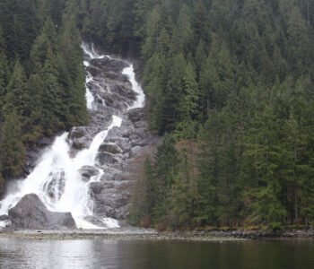 Boat Tour Indian Arm